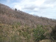 Monte Cagliato
